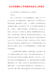 在全市防溺水工作电视电话会议上的讲话