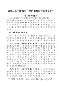 2025年新兴领域党建工作总结报告【县委社会工作部】(材料)
