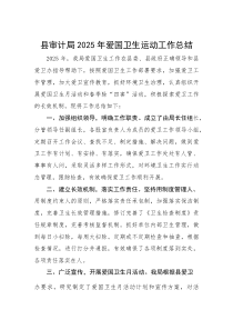 2025年爱国卫生运动工作总结【县审计局】(材料)