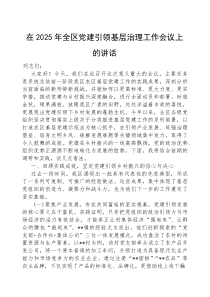 在2025年全区党建引领基层治理工作会议上的讲话(材料)