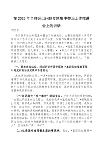 在2025年全县突出问题专题集中整治工作推进会上的讲话(材料)