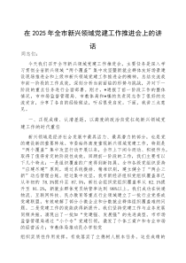 在2025年全市新兴领域党建工作推进会上的讲话(材料)