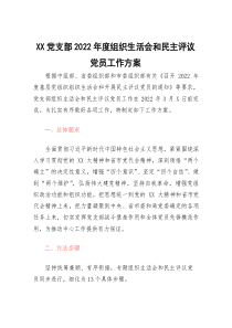 (参考)2023020207组织生活会和民主评议党员工作方案