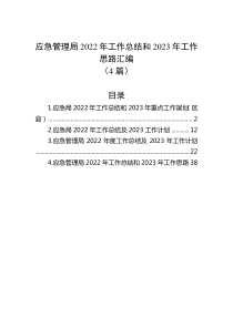 4篇应急管理局20XX年工作总结和20XX年工作思路汇编