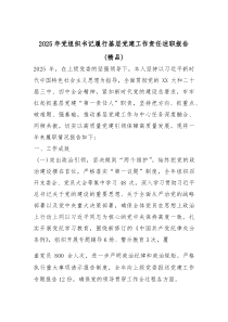 (参考)2025年党组织书记履行基层党建工作责任述职报告（优质）