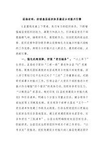 经验材料织密基层组织体系激活乡村振兴引擎