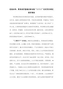 经验材料聚焦高质量激发新动能三个三促进项目建设提质增效