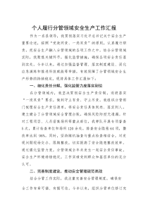 履行分管领域安全生产工作汇报【副县长】(材料)