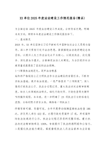 (参考)XX单位2025年度法治建设工作情况报告（优质）