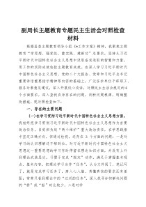 (参考)副局长主题教育专题民主生活会对照检查材料