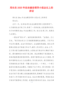 局长在2025年法治建设领导小组会议上的讲话