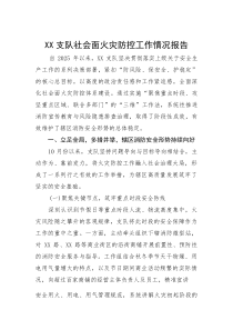 社会面火灾防控工作情况报告【支队】(材料)