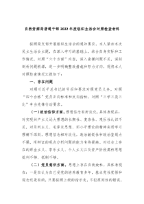 自然资源局普通干部20XX年度组织生活会对照检查材料