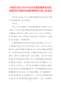 市委书记在2025年全市巩固拓展脱贫攻坚成果同乡村振兴有效衔接领导小组上的讲话