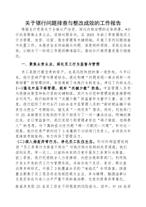 问题排查与整改成效工作报告【银行】(材料)
