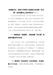 2025党委副书记、巡察工作领导小组副组长在巡察“回头看”动员部署会上的讲话范文(素材)