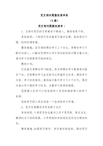 5篇党支部问题整改清单表