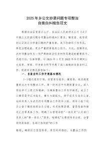 2025年乡公文抄袭问题专项整治自查自纠报告范文(素材)