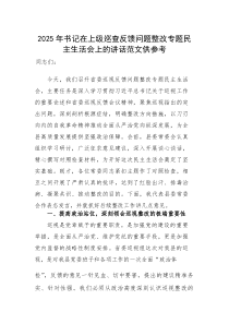 2025年书记在上级巡查反馈问题整改专题民主生活会上的讲话范文供参考(素材)