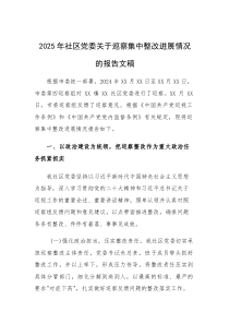 2025年党委关于巡察集中整改进展情况的报告文稿(素材)