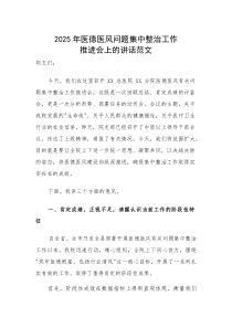 2025年医德医风问题集中整治工作推进会上的讲话范文(素材)