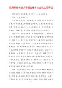 组织部部长在共青团全体扩大会议上的讲话