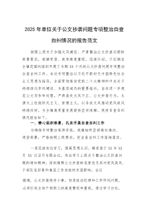 2025年单位关于公文抄袭问题专项整治自查自纠情况的报告范文(素材)