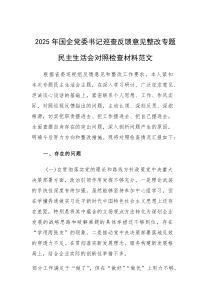 2025年国企党委书记巡查反馈意见整改专题民主生活会对照检查材料范文(素材)