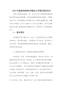 2025年度固体废物专项整治工作情况报告范文(素材)