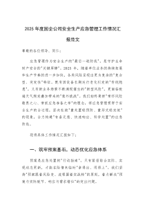 2025年度国企公司安全生产应急管理工作情况汇报范文(素材)