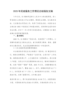 2025年民政服务工作情况总结报告文稿(素材)