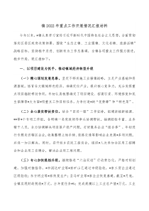 镇20XX年重点工作开展情况汇报材料