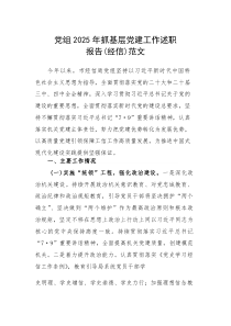 党组2025年抓基层党建工作述职报告（经信）范文(素材)