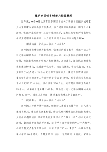 镇党建引领乡村振兴经验材料