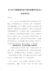在2025年新提拔科级干部任前集体谈话会上的讲话范文(素材)