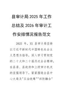 审计单位2025年工作总结及2026年审计工作安排情况报告范文(素材)