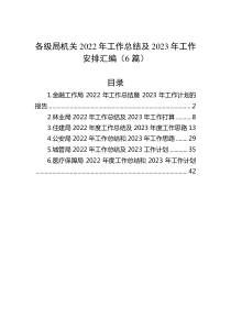 6篇各级局机关20XX年工作总结及20XX年工作安排汇编