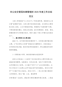 市公安交管局车辆管理所2025年度工作总结范文(素材)