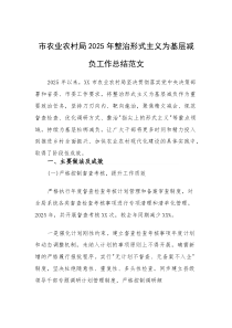 市农业农村局2025年整治形式主义为基层减负工作总结范文(素材)