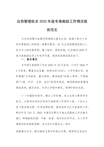 应急管理机关2025年度冬春救助工作情况报告范文(素材)