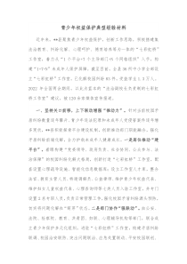 青少年权益保护典型经验材料