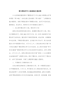 青年理论学习小组经验汇报材料