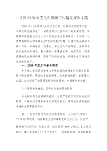 社区2025年度民生保障工作情况报告文稿(素材)