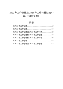 7篇20XX年工作总结及20XX年工作打算汇编镇乡专题