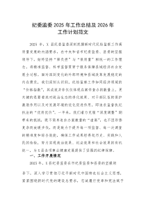 纪委监委2025年工作总结及2026年工作计划范文(素材)