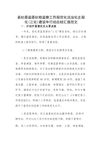 纪委监委纪检监察工作规范化法治化正规化（三化）建设年行动总结汇报范文(素材)