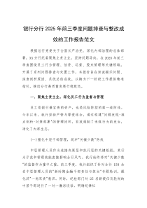银行分行2025年前三季度问题排查与整改成效的工作报告范文(素材)