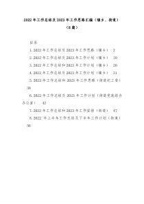 8篇20XX年工作总结及20XX年工作思路汇编镇乡街道