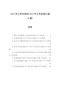 8篇20XX年工作总结和20XX年工作安排汇编