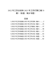 8篇20XX年工作总结和20XX年工作打算汇编街道镇乡专题
